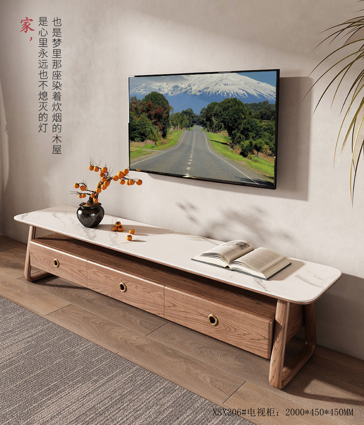 XSX206#电视柜  ￥19800